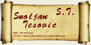 Smoljan Tešović vizit kartica